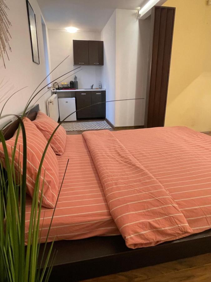 Savoya5 Old Citycenter Selfcheckin Workspacestudio Тимишоара Екстериор снимка